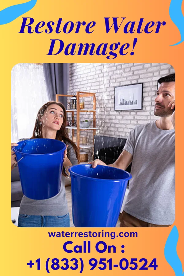 water restoration Total Mitigation Co Lutherville