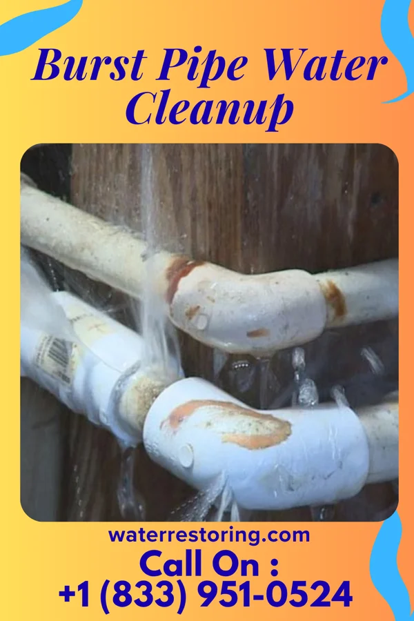 Burst Pipe Water Cleanup in Lutherville, MD