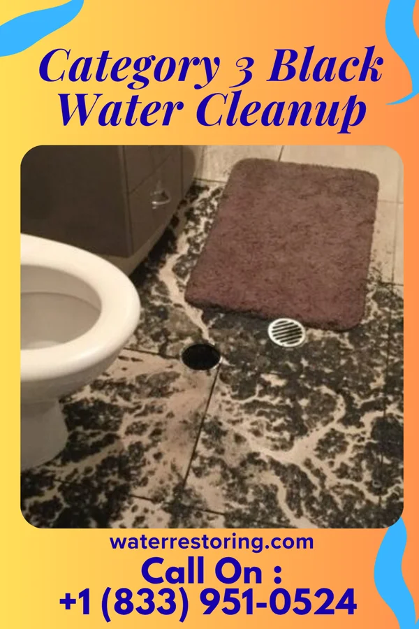 Category 3 Black Water Cleanup in Lutherville, MD