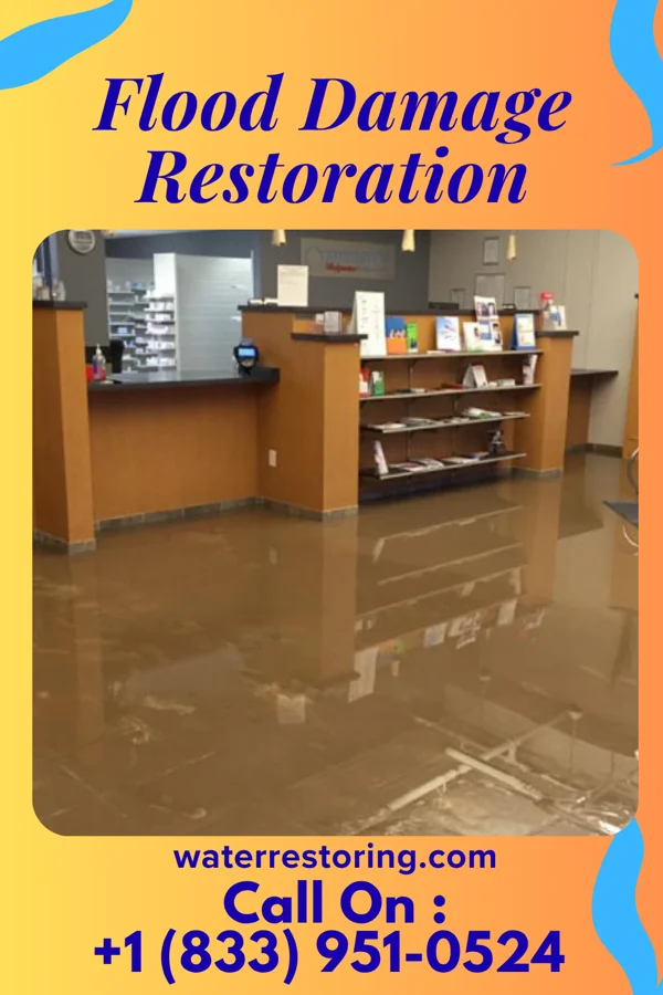 Flood Damage Restoration in Lutherville, MD