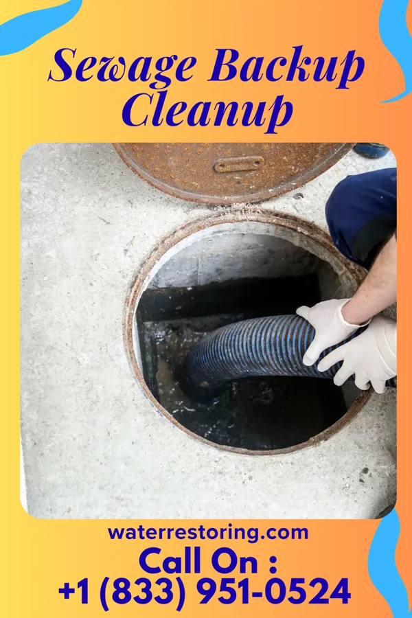Sewage Backup Cleanup in Lutherville, MD