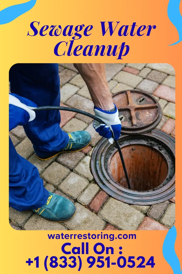 Sewage Water Cleanup in Lutherville, MD