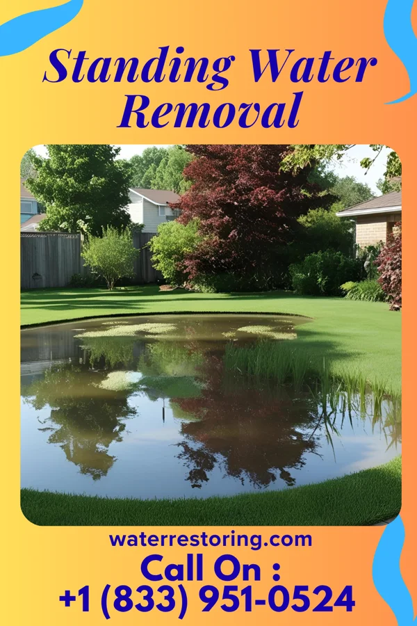 Standing Water Removal in Lutherville, MD